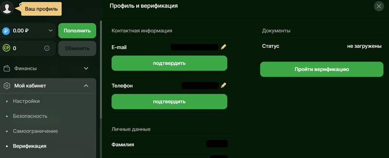 Профиль игрока