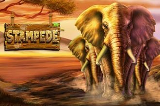 Stampede